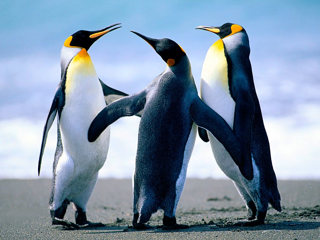OpenStation Blog: Drag, Drop, Preview: An Ordinary Day Writing in OpenStation